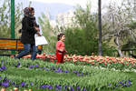 vahid sohrabi0015-1.jpg